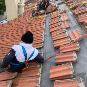 Ernest Renov U. (ernest renovhabitat)