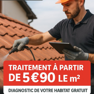 Ludovic V. (Allô Docteur Toiture)