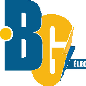 Brice G. (BG Electricité Services)