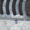 avatar Sophie J.<