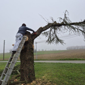 Jonathan D. (Dj Multiservice Toiture P...