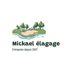 Mickael C. (Cancy Mickael)