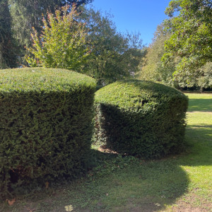 Christopher O. (ChristMultiServices)