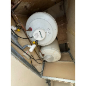 Stemate D. (1171578587824)