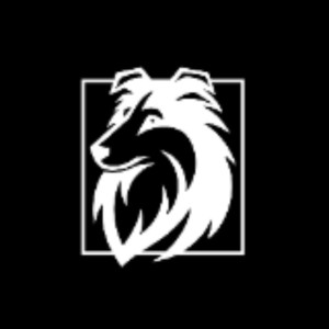 Aurore R. (SULTANNE | WEB ET VISUELS)