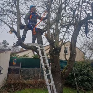 Fernando K. (ste klein Fernando ei)