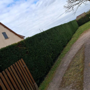 Dylan S. (Multi Service)