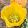 avatar Luc B.<