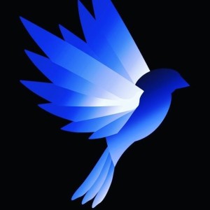 Jean-Michel P. (L'oiseau bleu propreté...
