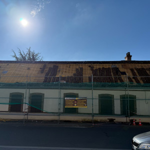 Nils M. (Mercadier.renov)