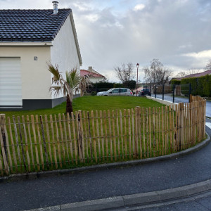 Juanito S. (Nito multi services)