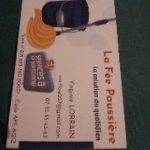 Virginie L. (La fée poussière)