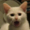 avatar Etienne B.<