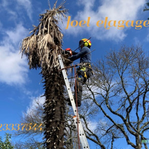 Joël T. (Joël élagage)