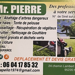 Pierre C. (Mr. Pierre)