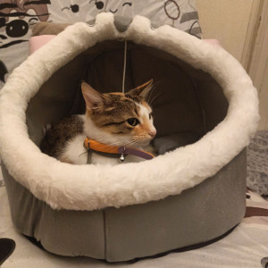 Sandrine B. (wicasa)