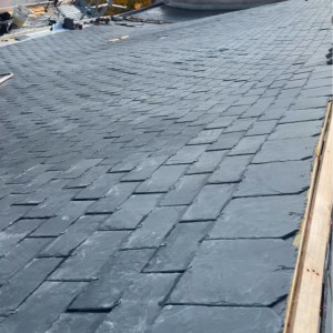 Stanley S. (multi service)