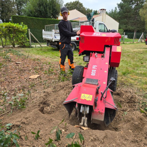 coteau paysage et elagage
