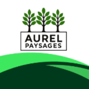Aurelien P.