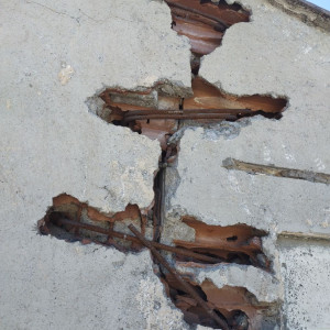 Jallel Edine D. (Njila bâtiment)