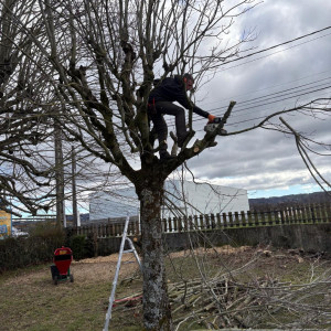 Guillaume C. (CG paysage et service)