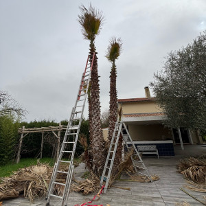 Sony H. (sony elagage)