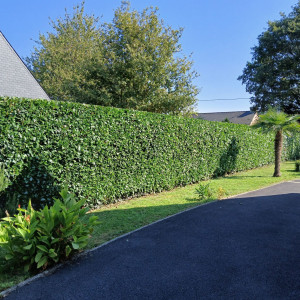 Erik B. (EB NETTOYAGES)