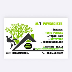 Tyson M. (M.T Paysagiste)