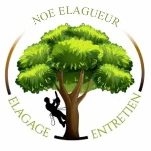 Noe D. (Noe Elagueur)