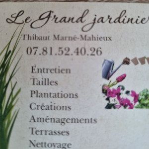 Thibaut M.