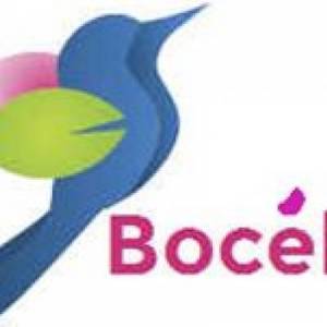 Boceli