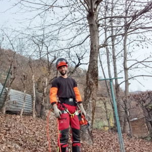 Mehdi C. (MED JARDIN ET BOIS SERVICES)