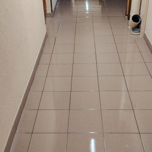 Ayoub I. (nettoyage)