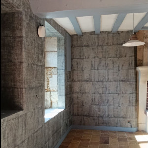 Remy S. (Magic Home Service)