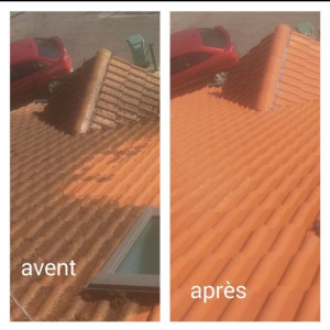 Anthonie H. (demoletm)