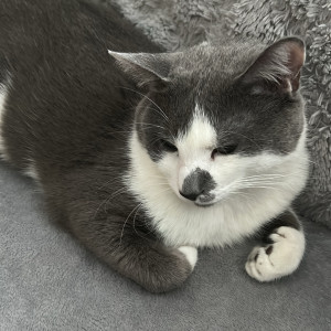 Alexandra R. (LEXIA CLEANING)