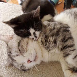 Nathalie B. (Nathalie bernard6)