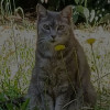 avatar Marie L.<