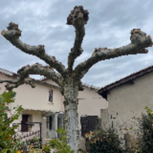 Marlone P. (MP RECYCLAGE)