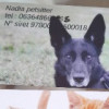 avatar Nadia S. (Nadia Petsitter)<