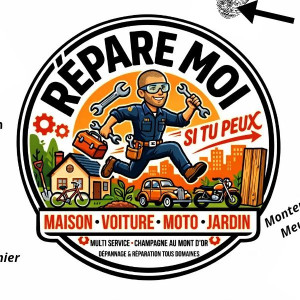 David Z. (REPARE MOI SI TU PEUX)