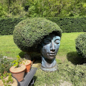 Petrisor Puiu N. (Nicolescu Petrisor P...