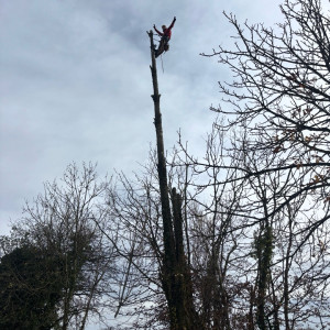 Trevis B. (Bt paysagiste)