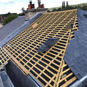 Sonny M. (Rénovation habitat)