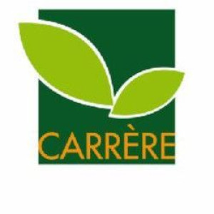 Carrere Multiservices