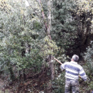 Yannick G. (Provence création)