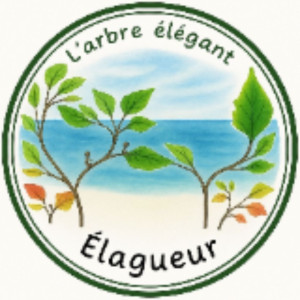 Christophe B. (L'arbre élégant)