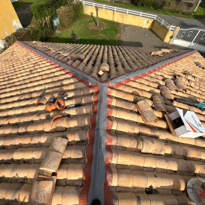 Thomas F. (Folliot Renovation)