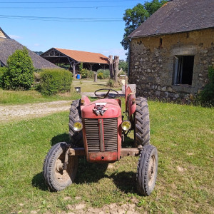 Samuel G. (G.S. Multi-services)