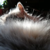 avatar Jean-Claude W.<